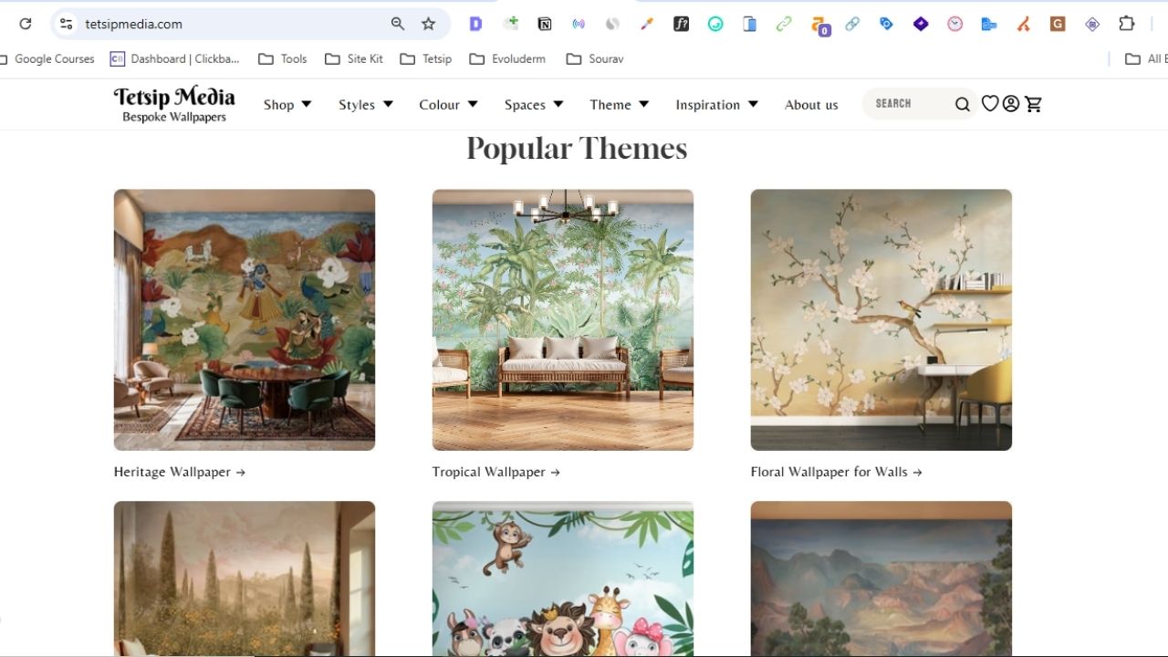 Tetsip Media Portfolio